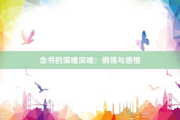 念书的深嗜深嗜：纲领与感悟