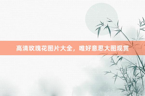 高清玫瑰花图片大全，唯好意思大图观赏