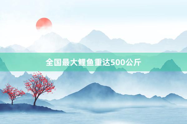 全国最大鲤鱼重达500公斤